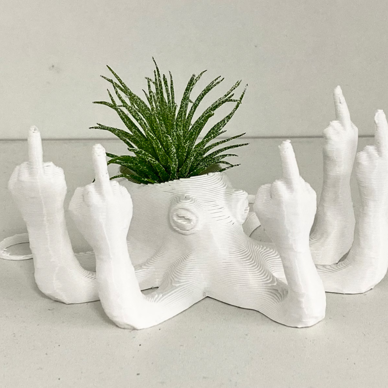 Fucktopus Air Plant Pot