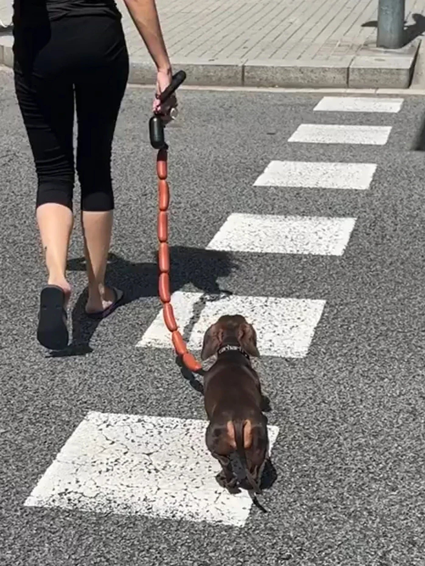 GIANT SAUSAGE DOG LEASH