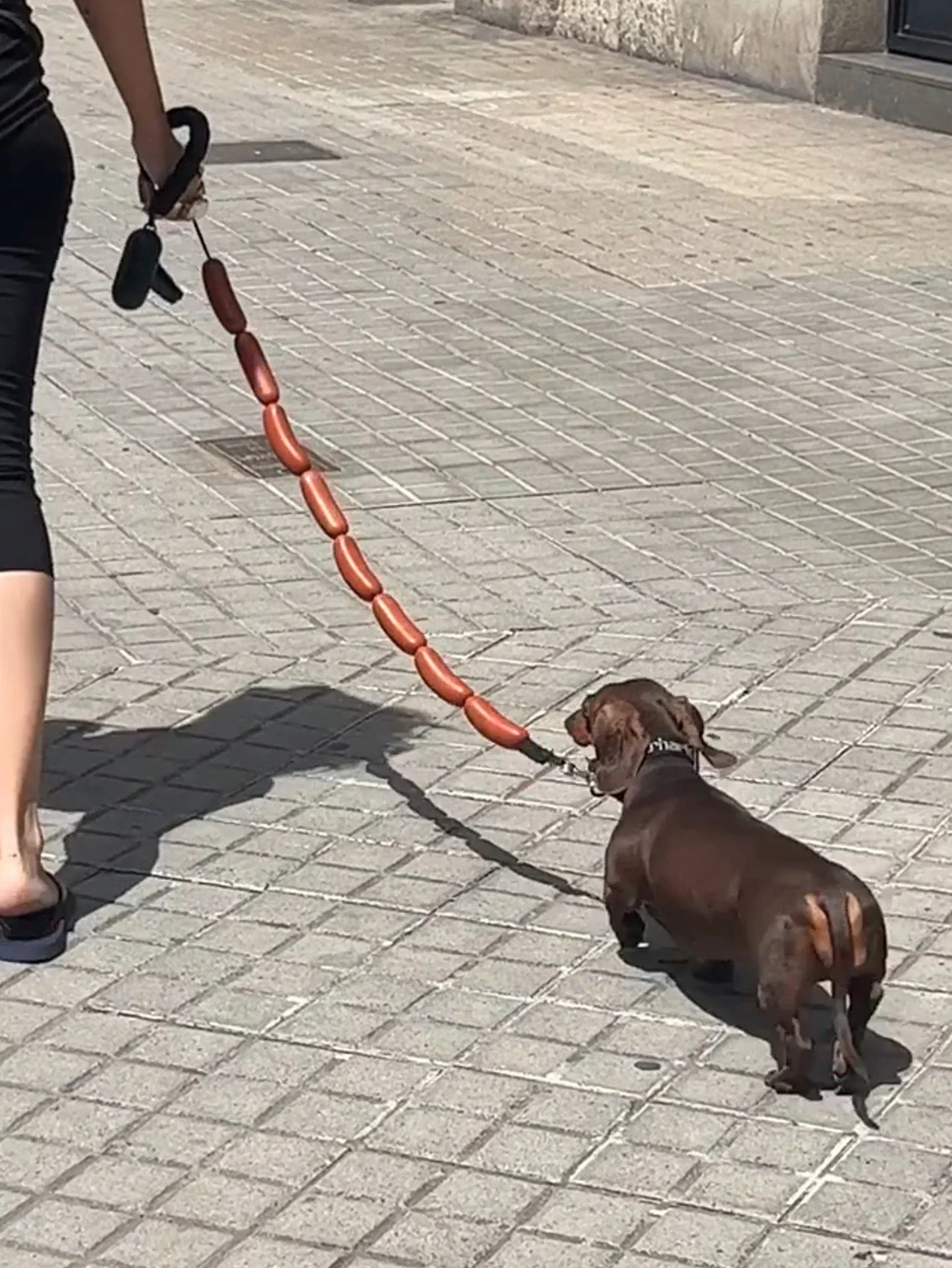 GIANT SAUSAGE DOG LEASH