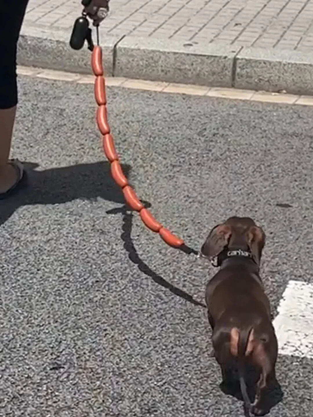 GIANT SAUSAGE DOG LEASH