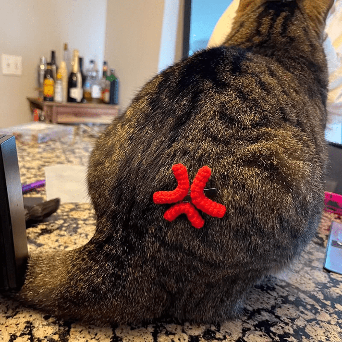 Angry Hair Clip