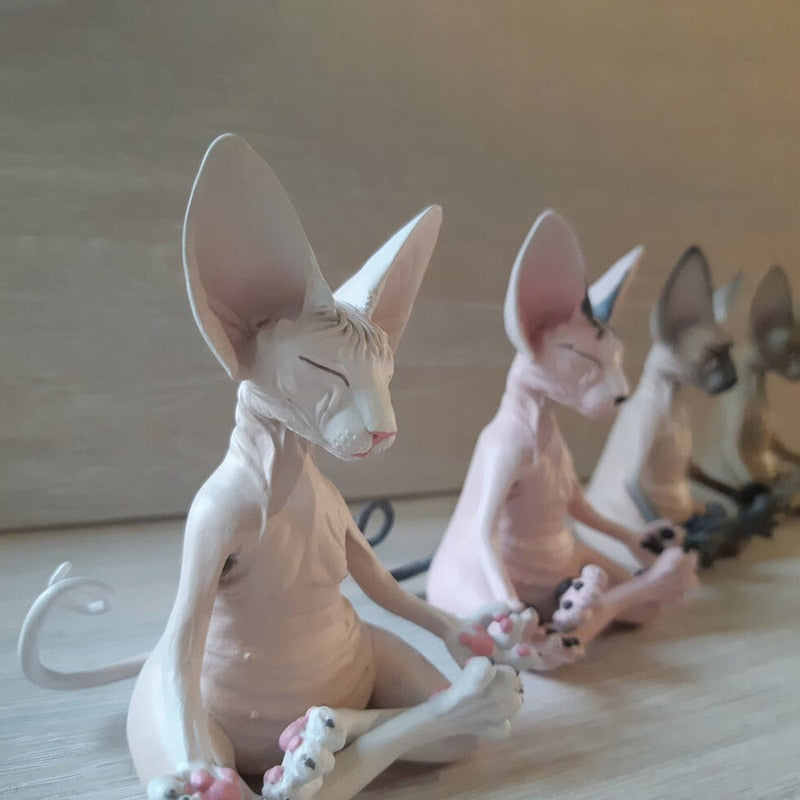 Meditation Yoga Cat