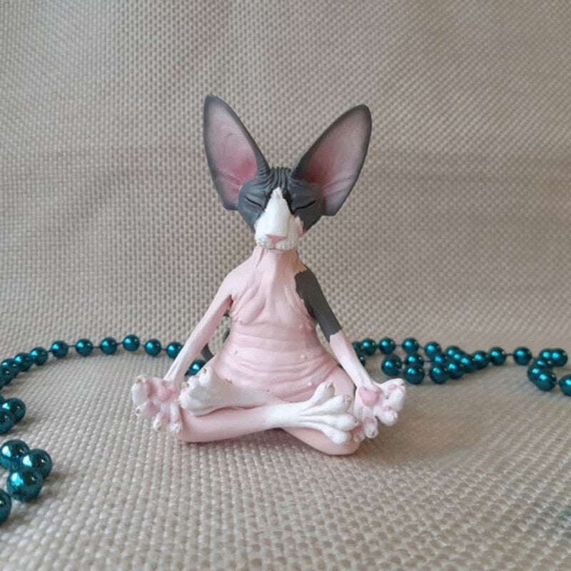 Meditation Yoga Cat
