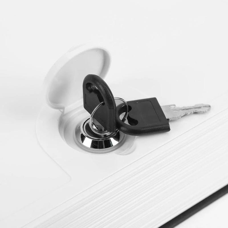 Dictionary Book Safe