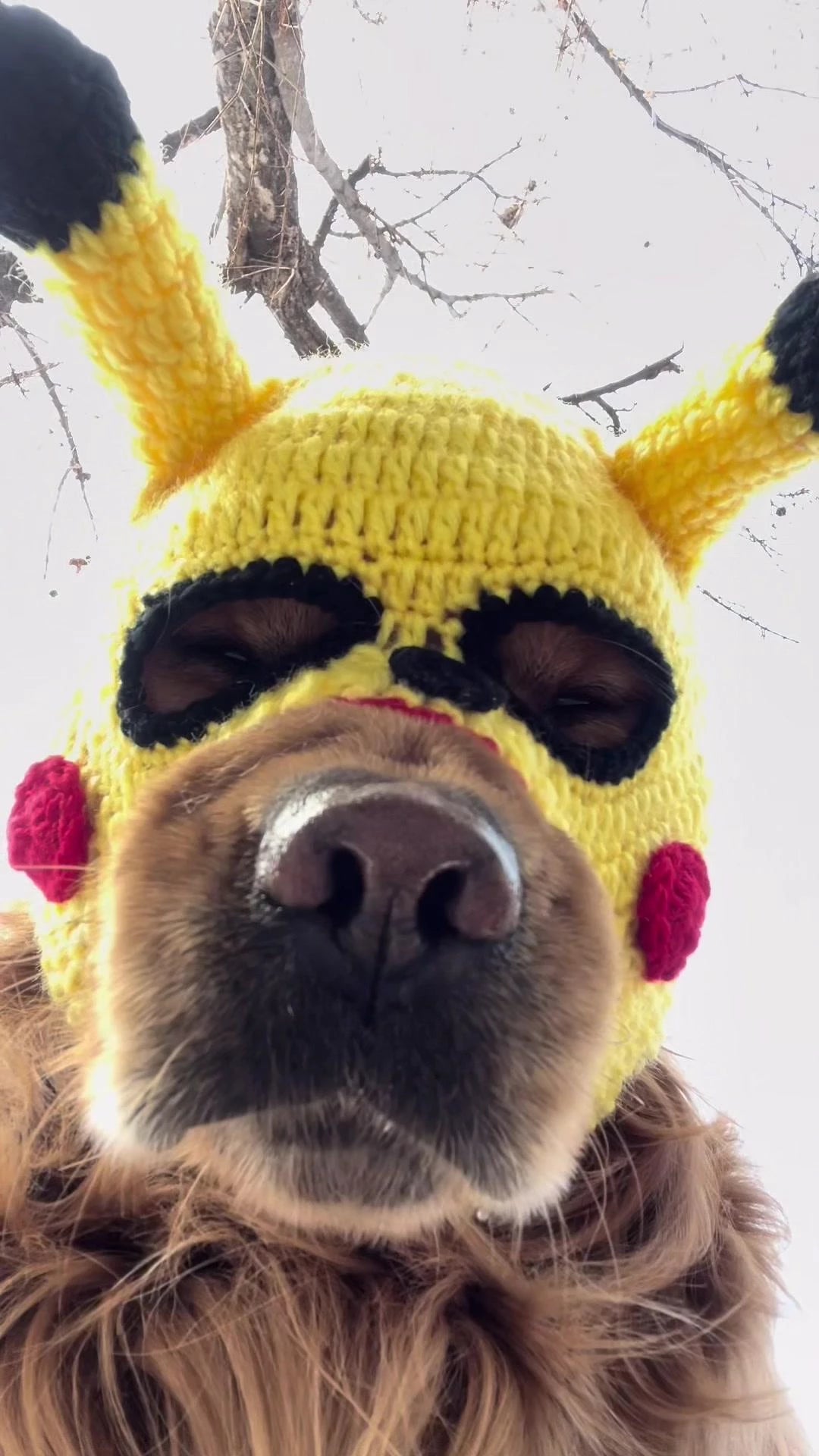 Funny Pet Knitted Hat