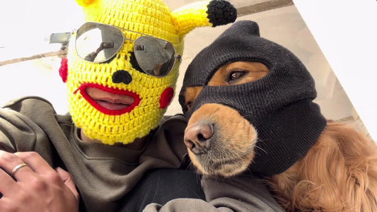 Funny Pet Knitted Hat