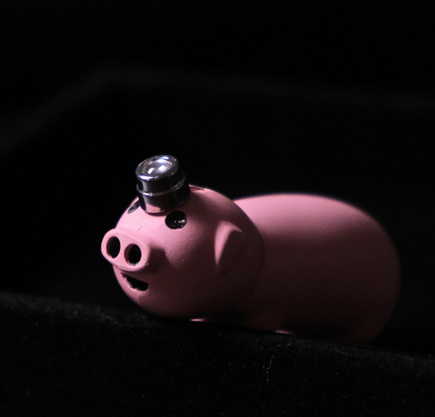 Piggie Lighter