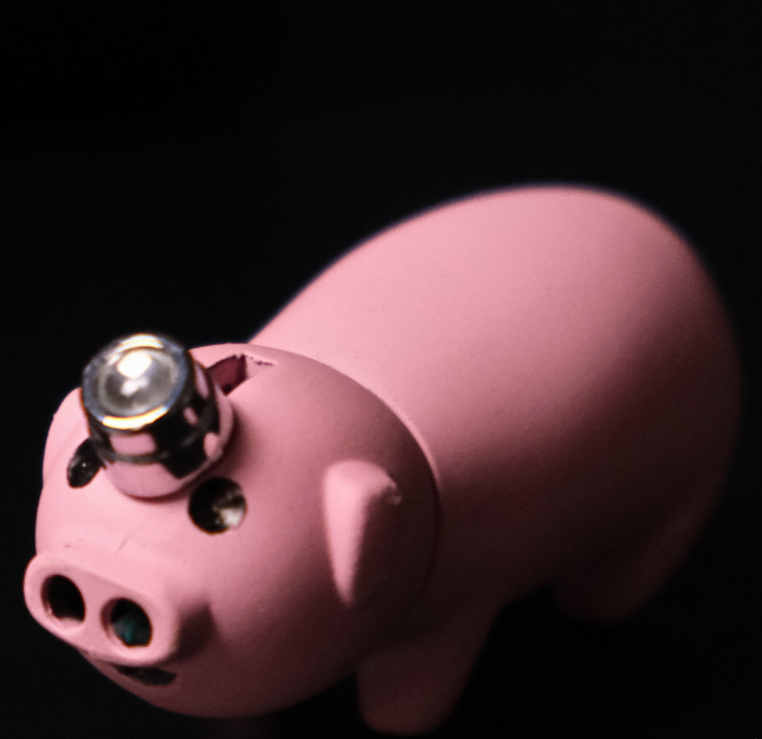 Piggie Lighter