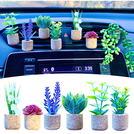Succulent Air Freshner Vent Clips (set of 6)