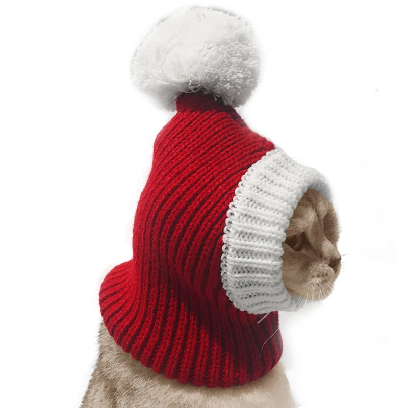 Stylish Pet woollen Hat