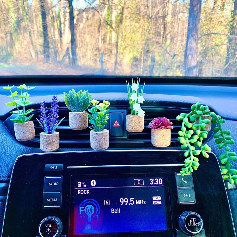 Succulent Air Freshner Vent Clips (set of 6)