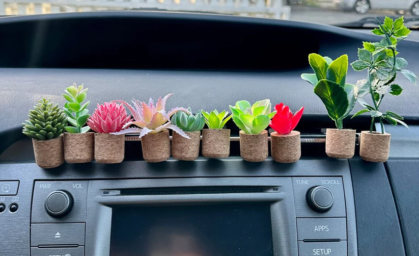 Succulent Air Freshner Vent Clips (set of 6)