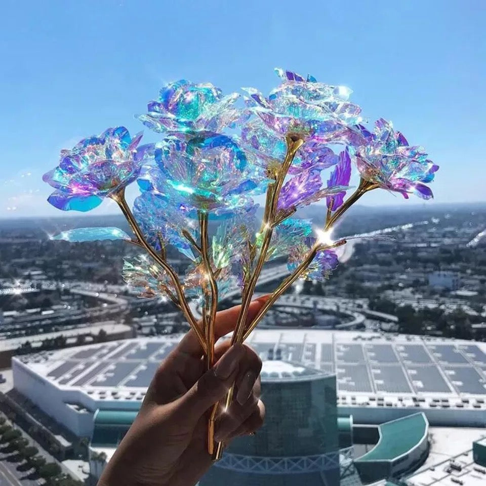 Galaxy Forever Rose