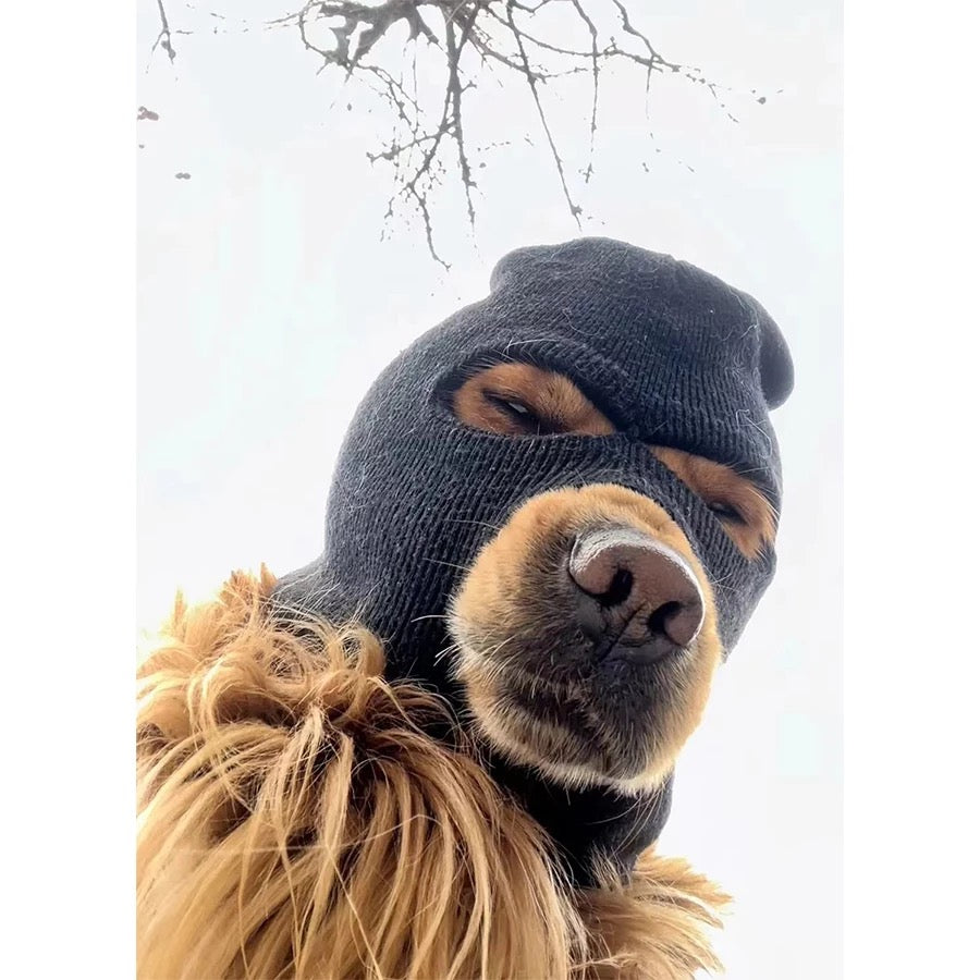 Funny Pet Knitted Hat