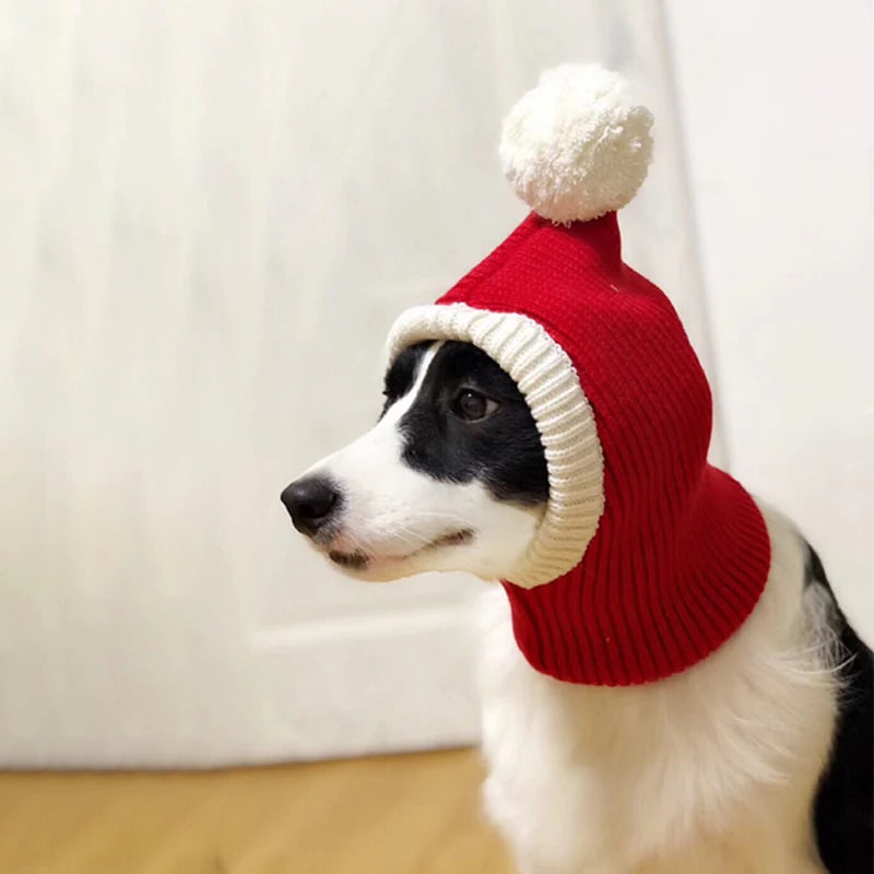 Stylish Pet woollen Hat