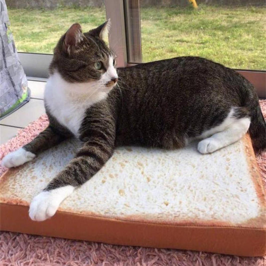 Tasty Toast Pet  Mat