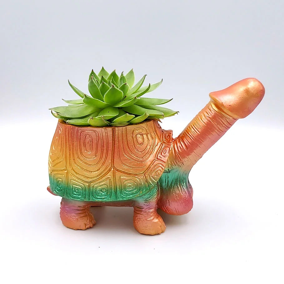 Snail Dick Planter