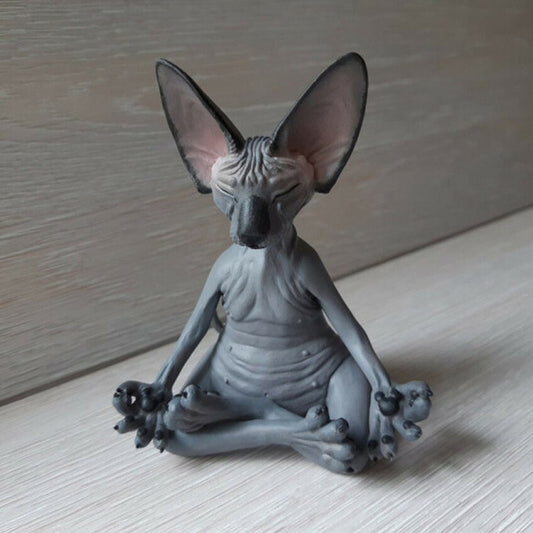 Meditation Yoga Cat