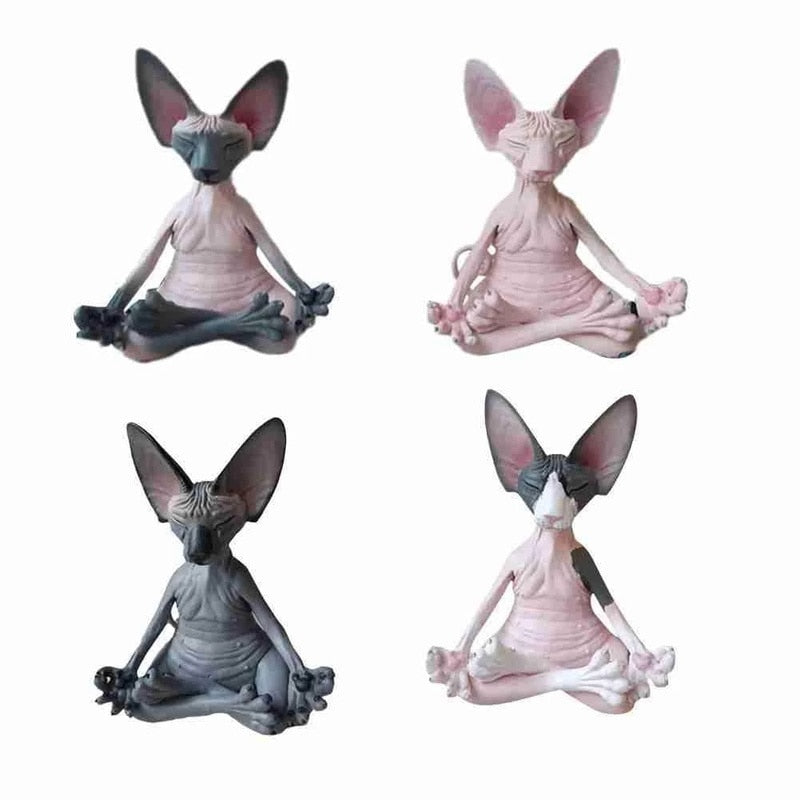 Meditation Yoga Cat