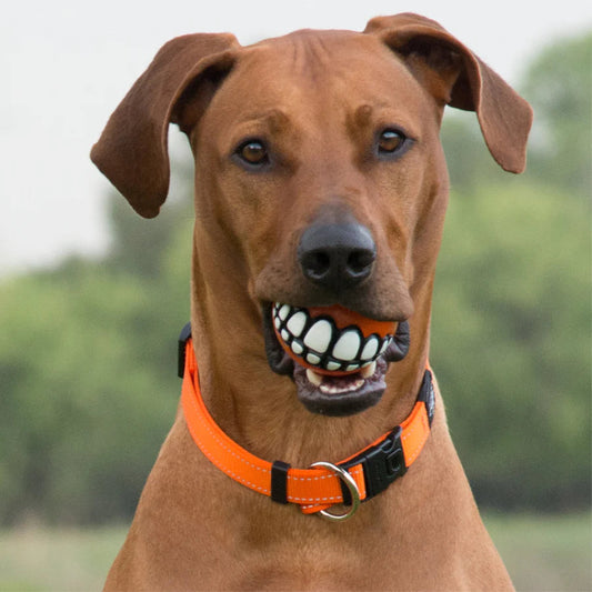 Smiling Dog Ball