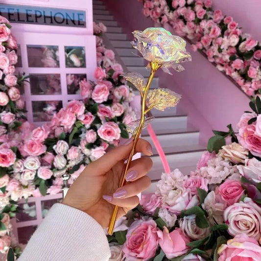 Galaxy Forever Rose