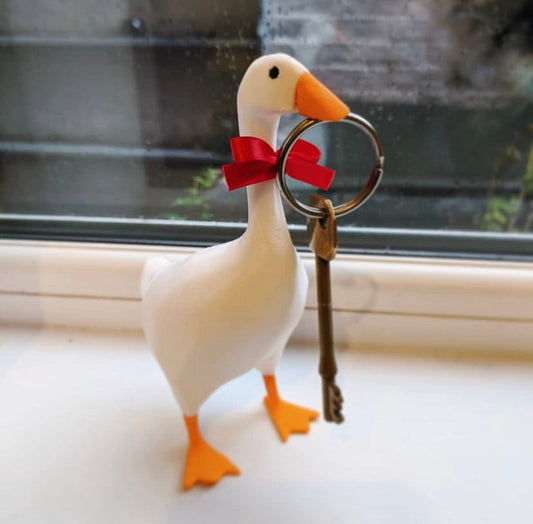 Magnetic Goose